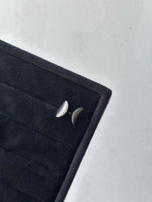 Sea shell silver Ring