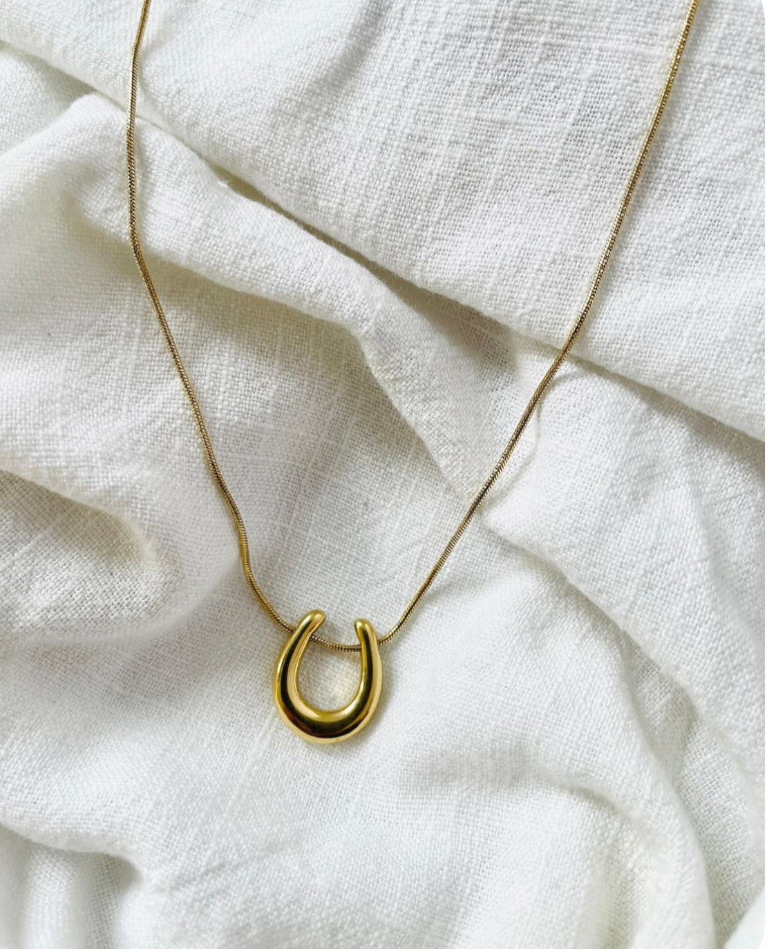 Horse shoe Necklace